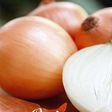 Løk-Onion Stutgarten Rieser 250 g